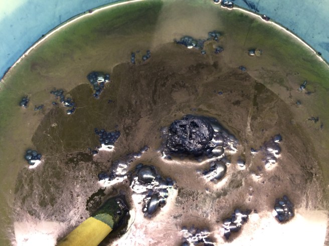 Indigo vat, fully reduced 