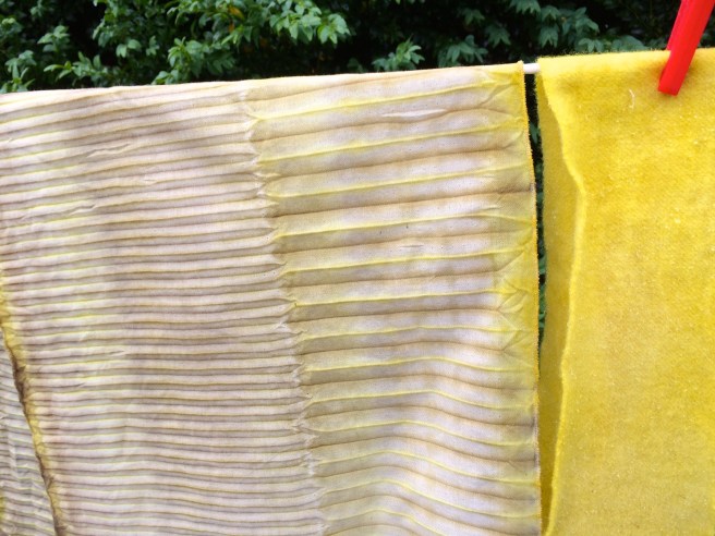 left, cotton woven shibori with various mordants, right, wool  with alum mordant. dyed with broom