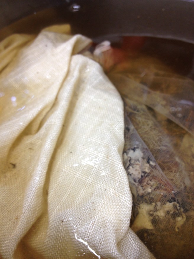 Wool and cotton cloth at the start of the lichen dye bath