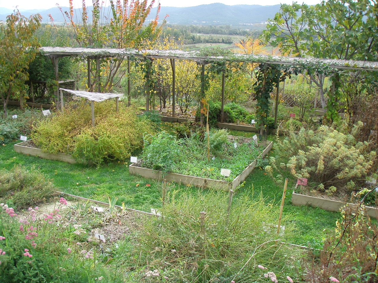 Conservatory Garden of Dye Plants, Lauris – Version 2
