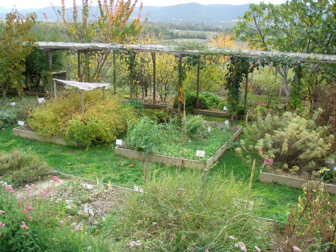 Conservatory Garden of Dye Plants, Lauris – Version 2